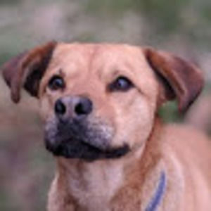 Meet your Posher, Jarrett